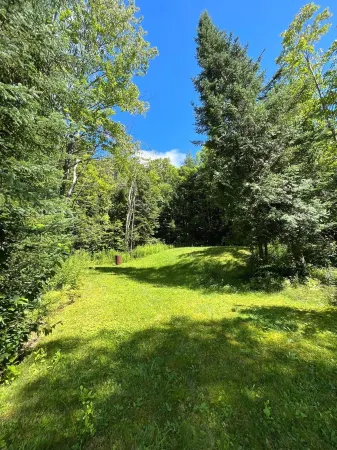 Charming Lakefront Cottage on Twelve Mile Lake - Minden Hills