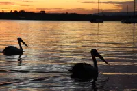 Lakes Edge Cottage - Self Contained Hotels in Caves Beach