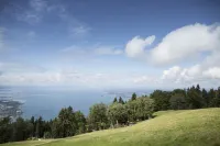 Schickes Apartment in Denkmalgeschütztem Haus in Seenähe Hotel a Hard