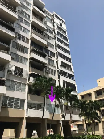 Chic oasis in the vibrant heart of Condado