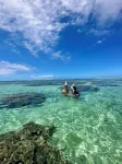 Tropical House with Pool & Paddle Near the Lagoon! Rated  with Pmr Access