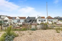 Seashells-Stylish Coastal Living