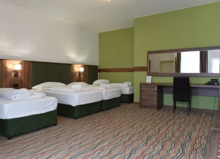 Hotel Olive Inn Отели в г. Ашаффенбург