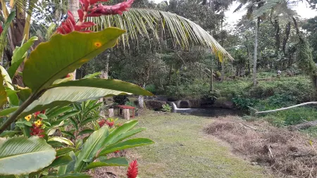 Dave Parker Eco Lodge Hotel