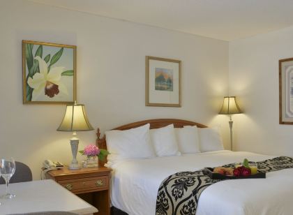 Valley Star Motel