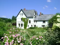 The Forest Country House B&B - Виллы