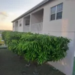 Caribbean Inn and Suites Hotel a Jennings