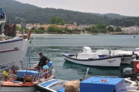 Irene Studios Hotels in Istiea Edipsos