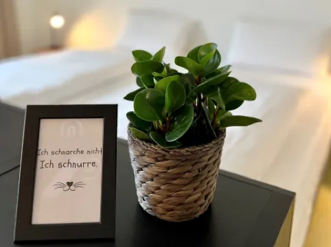 Appartements Haus Augustinus