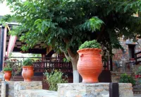 Kyveli