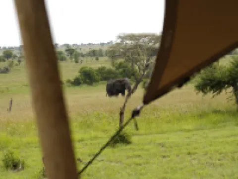 安南塔塞倫蓋蒂 塞倫蓋蒂酒店