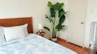 1Br + living room 821 Sqft  with Ocean View - Direct Beach Access - WiFi - Piano