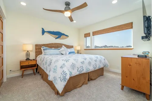 Experience Nature's Spectacle from the Front Row!