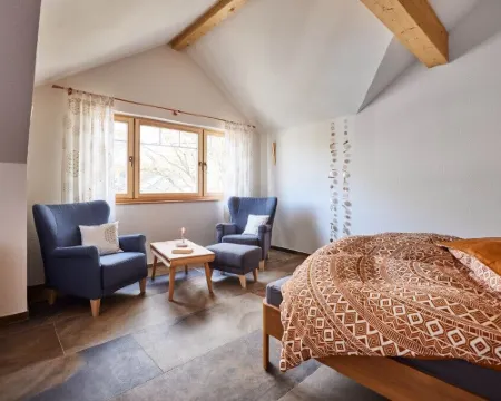 Biopension Satya Hoteles en Offenburg