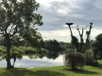 Beautiful bird sanctuary on the lake