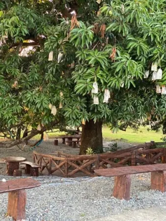 Michael's Homestay- Junior Suite Room # 4 Отели рядом с достопримечательностью «Колледж Фил-Ниппон Текникал»