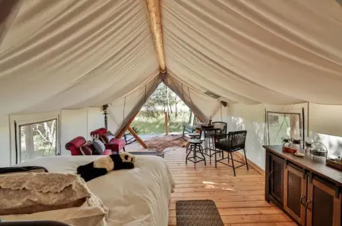Heritage Ranch 'Bobcat' Glamping Tent (2)