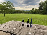 Natural Beauty With Luxury Accommodations