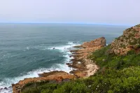 Wildside Cabin with Ocean View & Private Hikes