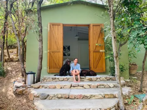 The dependance in the Bosco