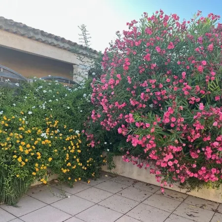 Appartement Port Cogolin Avec Terrasse 90 M2
