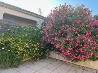 Appartement Port Cogolin Avec Terrasse 90 M2