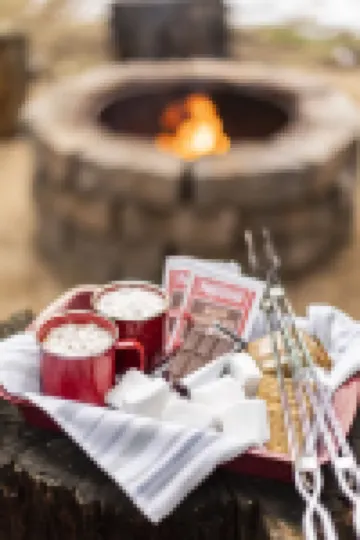 The Bunkhouse 1960's Camp Vibe + Timeless Wet Bar