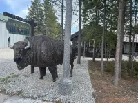 Cabin in West Yellowstone