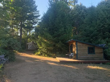 Cozy Winter Cabin!  A Unique Experience. Your Very Own Private Camp! Sleeps 2-3