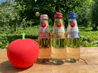 Kashiwagi Onsen Hotels in Owani