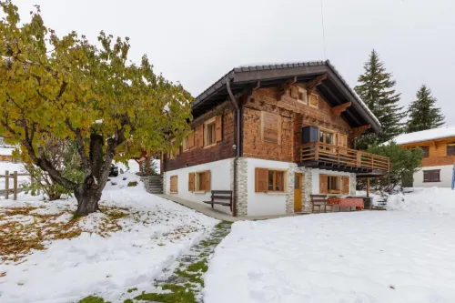 Beautiful Apartment Under Owners Chalet