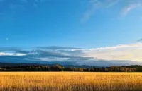 NEW Cozy & Luxe "LAGOM1STAY" Top Floor Loft Central To Downtown Bozeman & MSU