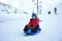 Austria Mzaar Chalets & Services Hotels in Zahle