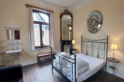 Heritage Villa in Spa with Garden - Homestays