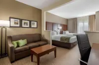 Comfort Suites Johnson City Near University Hotel a Oak Grove