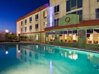 Holiday Inn Express & Suites LIVE OAK by IHG Hotels in Suwannee County