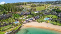 The Most Gorgeous OV Villa in Kapalua Sleeps 6