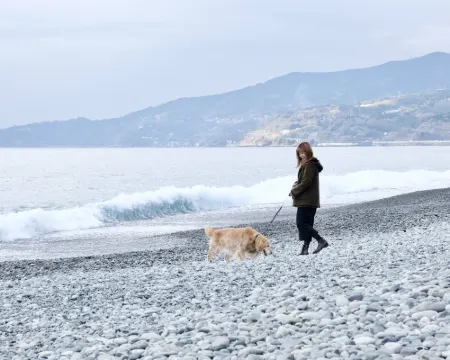 Inu to Umibe Hotels in Odawara