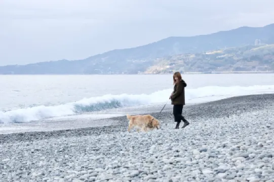 Inu to Umibe Hotels near Kanagawa Prefectural Museum of Natural History
