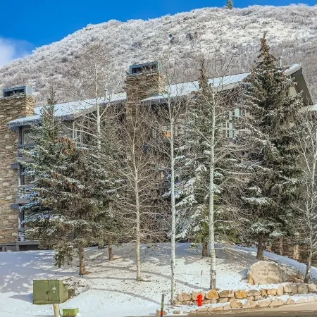 Gorgeous DV Slopeside Condo with Hot Tub and AC 11B