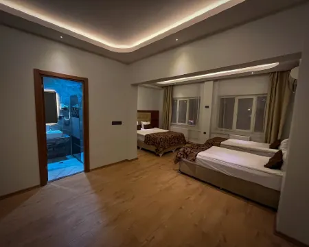 アンカラ サントラル ホテル アンカラのホテル