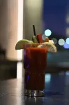 The Wisconsin Hotels & Conference Center - bar