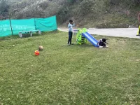 コダイ ヒルスケープ