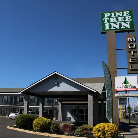Pine Tree Inn