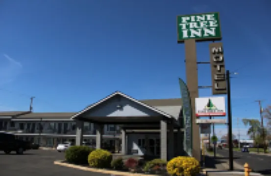 Pine Tree Inn