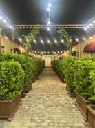Very Well Guest House