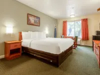 Hotel Avenida, San Clemente Beach Hotels in San Clemente