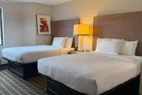 Edn Hotel - Wifi