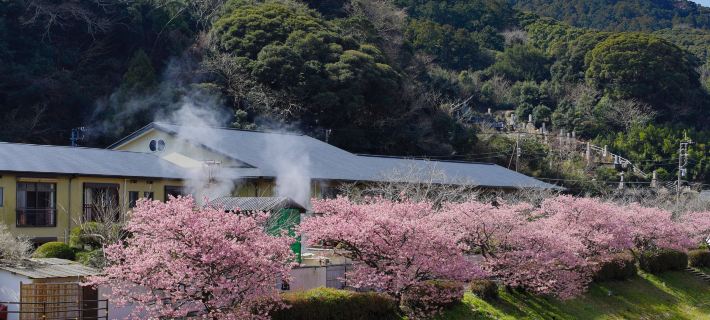 Hotel Kawachiya Hotels in Kamo District