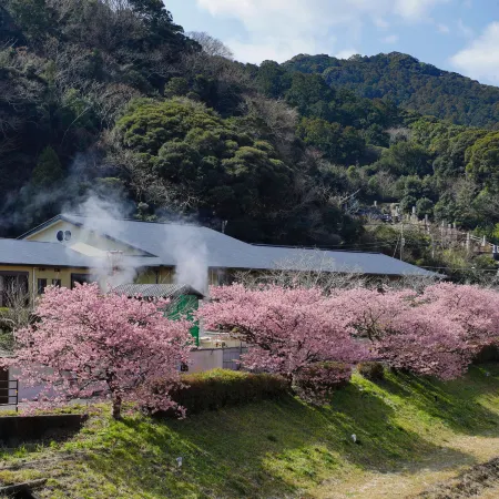 Hotel Kawachiya